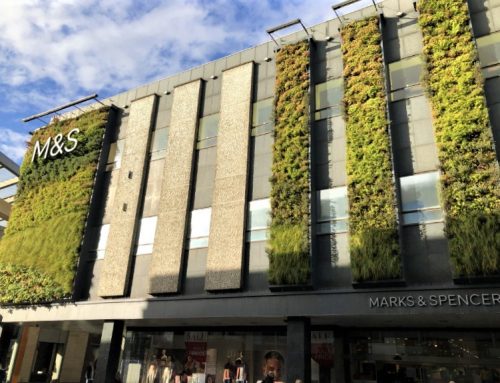 M&S Green Wall